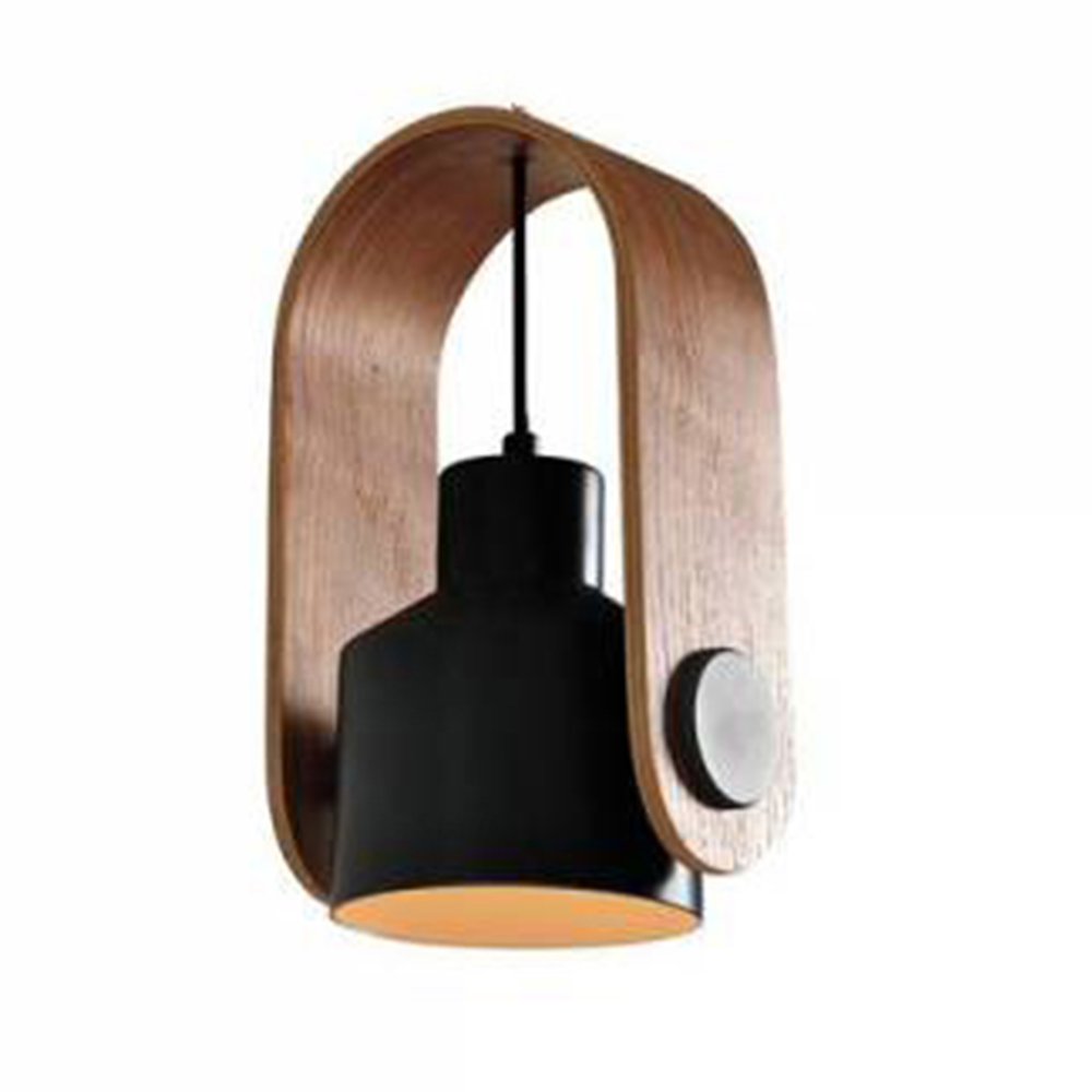Ceiling Track Light - Pendant light